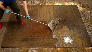 Thumbnail: I Cleaned The DIRTIEST 60-Year-Old Persian Carpet Ever!