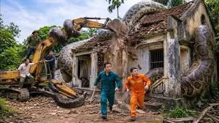 Thumbnail: Titanoboa | Anaconda vs Excavator | House Demolished in 10 Minutes Catching a giant 280kg python