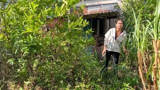 Thumbnail: HOUSE RENOVATION (Part 1)--OVERGROWN WITH WEEDS to a FRESH START for a Single Mother