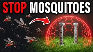 Thumbnail: If Mosquitoes Still Ruin Your Evenings - You Have Never Tried This 3 Hacks!