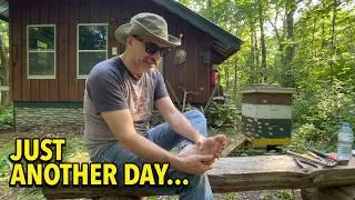 Thumbnail: It Started Like Any Other Day at the Off-Grid Cabin...