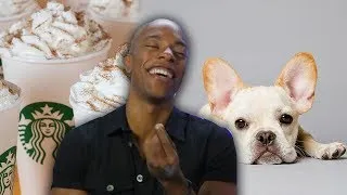 Thumbnail: Starbucks & Keurig Team Up For PSL Flavors - French Bulldog CAFE Opens In London (In Other News)