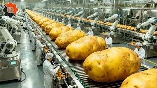 Thumbnail: Inside a Potato Production Line: From Raw Potatoes to Stacked Potato Crisps (Full Process)