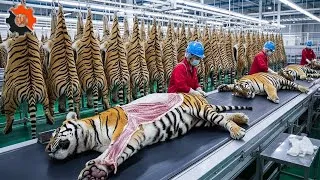 Thumbnail: Processing Line: Inside Modern Tiger Leather Factory from Raw Skin to Luxury Bag (Full Process)