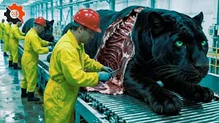 Thumbnail: Processing Line: Inside Modern Panther Leather Factory from Raw Skin to Luxury Bag (Full Process)