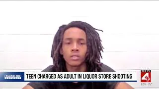 Thumbnail: 15-year-old charged in fatal Detroit liquor store shooting
