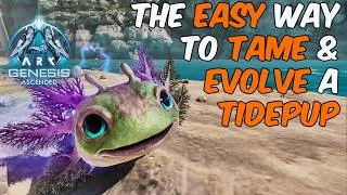 Thumbnail: How To Tame & Easily Evolve a Tidepup in ARK Survival Ascended