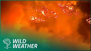 Thumbnail: Climate Change Explained - Why We Must Act Now