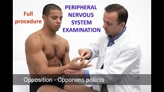 Thumbnail: PERIPHERAL NERVOUS SYSTEM - Full procedure