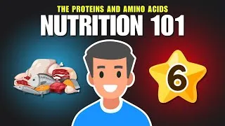 Thumbnail: The Proteins and Amino Acids