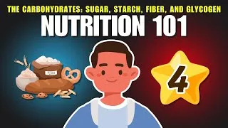 Thumbnail: The Carbohydrates — Sugar, Starch, Glycogen, and Fiber