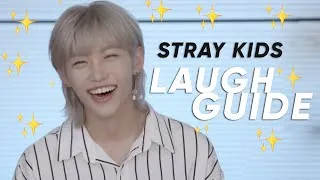Thumbnail: a guide to Stray Kids' laugh (2021 edition)