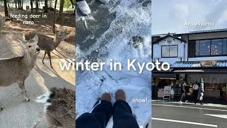 Thumbnail: japan vlog🎐❄️: kyoto + nara, shinkansen, feeding deer, snow in kyoto, chiikawa