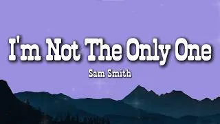 Thumbnail: Sam Smith - I'm Not The Only One (Lyrics)