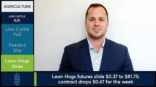 Thumbnail: Live Cattle futures drop as Tyson Foods closes 3 beef plants. 8/14/26