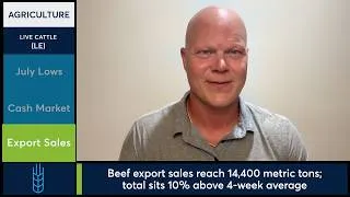 Thumbnail: Live Cattle futures slid to lowest close since July 27. 8/13/26