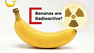 Thumbnail: BANANAS ARE RADIOACTIVE? WHY?  - Curious Mind Facts