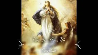 Thumbnail: Veni Jesu Amor Mi - Cherubini
