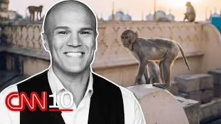 Thumbnail: How primate 'whisperers' are helping safeguard India's biggest events | August 21, 2026