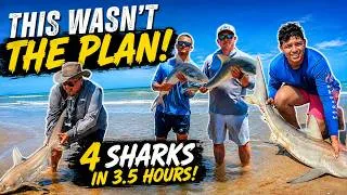 Thumbnail: 4 Sharks in 3.5 Hours! | South Padre Island Beach Camping