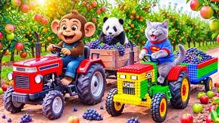 Thumbnail: Monkey and Cat Harvest Giant Grapes Together! A Fun Farm Adventure Begins! 🍇🐒🐱 | Farm Work