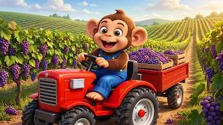 Thumbnail: Monkey Harvests Tons of Sweet Purple Grapes with His Little Red Tractor! 🍇🚜🐵 | Farm Work
