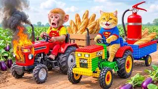 Thumbnail: Monkey's Tractor Suddenly Catches Fire! Brave Super Cat Rushes In to Save the Day!  | Farm Work