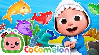 Thumbnail: Baby Shark Rainbow 🌈 Learn Colors and Sea Creatures | CoComelon Nursery Rhymes & Kids Songs