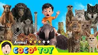 Thumbnail: The desert animals quiz with an anteater! ⭐ㅣanimals quiz for kids ㅣCoCosToy