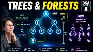 Thumbnail: Data Structure and Algorithm | Lecture 8 | Understanding Trees & Forests