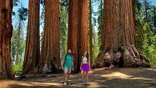 Thumbnail: 2 National Parks in 2 Days: Sequoia & Kings Canyon