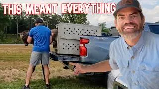 Thumbnail: The Day Arms Family Homestead Changed Our Life Here On The Farm