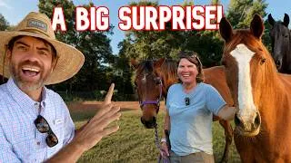 Thumbnail: The Horses Have No Idea What’s Coming!