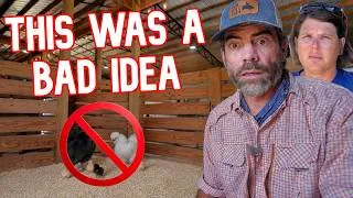 Thumbnail: We Just Made a BIG Mistake With The New Babies!