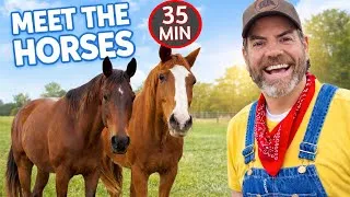 Thumbnail: Meet Our New Horses With Farmer Jason 🐴 -Learning About Animals For Kids