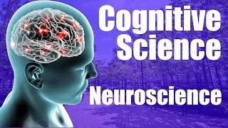 Thumbnail: Cognitive Science Major - Neuroscience Emphasis