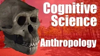 Thumbnail: Cognitive Science Major - Anthropology Emphasis