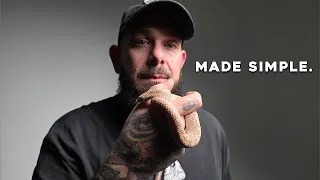 Thumbnail: Western Hognose Snake Care Made Simple