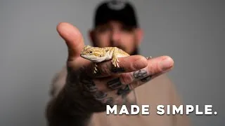 Thumbnail: Bearded Dragon Care Made Simple