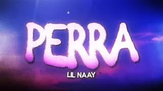 Thumbnail: LIL NAAY - PERRA (Lyrics)
