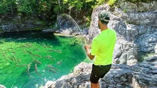 Thumbnail: This REMOTE CREEK Was Hiding a BIG SECRET....