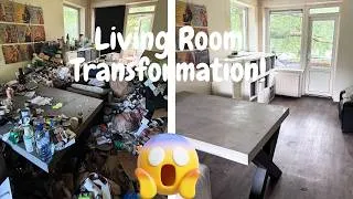 Thumbnail: INSANE LIVING ROOM CLEAN for FREE