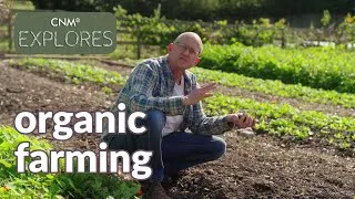 Thumbnail: Organic Farming vs Conventional Farming - the benefits and differences of farming organically