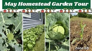 Thumbnail: MAY HOMESTEAD GARDEN TOUR 2026 | Zone 6b | Everything we are growing to eat!