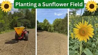 Thumbnail: Tilling & Planting Our Sunflower Field Food Plot!