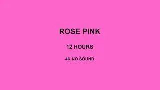 Thumbnail: Rose Pink Screen 12 Hours 4K No Sound