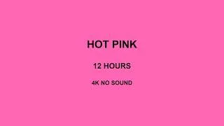 Thumbnail: Hot Pink Screen 12 Hours 4K No Sound