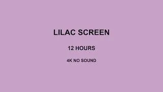 Thumbnail: Lilac Screen 12 Hours 4K No Sound