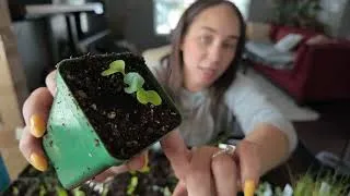 Thumbnail: Up Potting And Fertilizing | Gardening Vlog