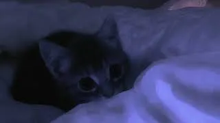 Thumbnail: sleep, you need it